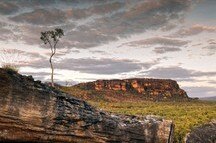 Picturesque Kakadu National Park at dusk Picturesque Kakadu National Park at dusk